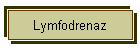 Lymfodrenaz