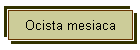 Ocista mesiaca